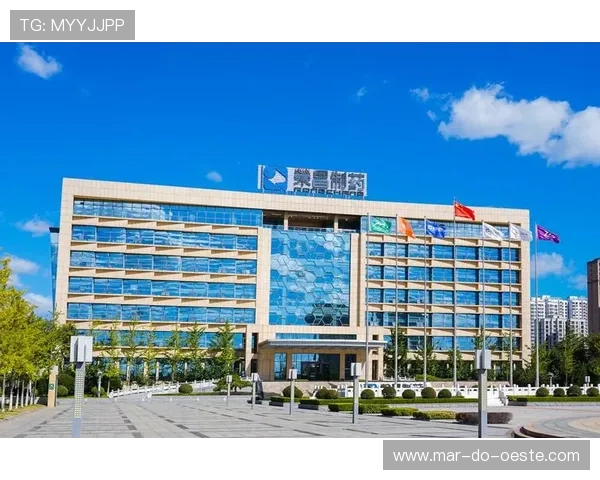 K8凯发电竞的合作伙伴与品牌背书,提升平台信誉度的关键因素 K8凯发电竞的合作伙伴与品牌背书,提升平台信誉度的关键因素