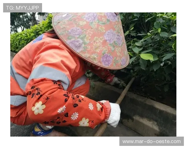 遇到凯发网投会员登录不了怎么办?详细排查步骤与解决技巧推荐