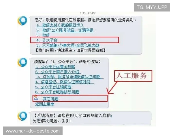 凯发体育官方入口客服支持与联系方式详解，提供全方位的用户帮助服务